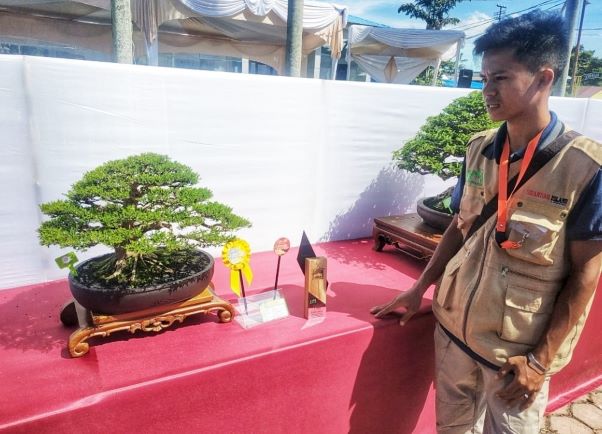 Seorang panitia PPBI Cabang Pekanbaru saat menjelaskan salah satu bonsai yang ikut kontes (foto/dok)